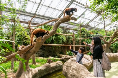 🦁 고베 동물왕국
